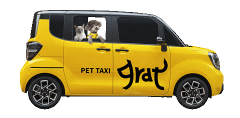 grat_app giphyupload taxi 고양이 강아지 Sticker