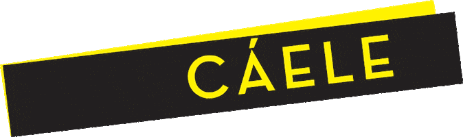 Beer Bar Sticker by ColectivoIcaro