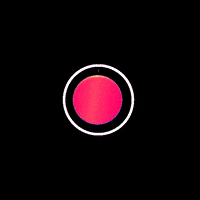 Happy Post GIF by Plus PPL