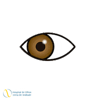 leiriadeandrade hola hospital olhos leiria Sticker