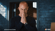 Season 2 Please GIF by Law & Order