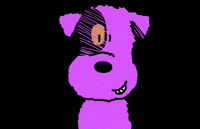 Jack Russell Party Hard GIF