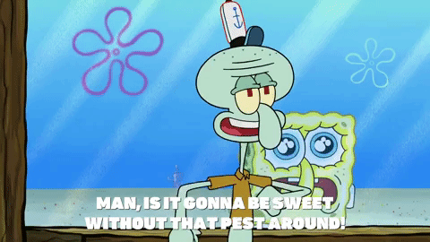 season 9 GIF by SpongeBob SquarePants