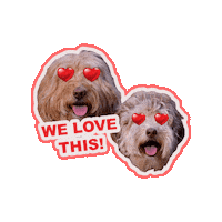 In Love Doodle Sticker by Milagency
