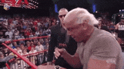 Ric Flair Wrestling GIF by G1ft3d