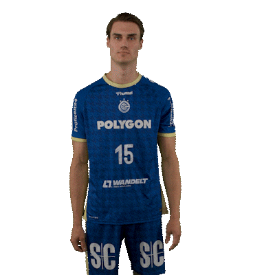 Handball Sticker by DAIKIN HBL