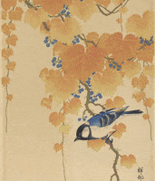 Spring Is Here GIF by GIF IT UP