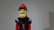 Lets Go Yes GIF by Ball State University