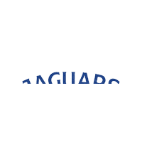 santateresa school honduras escuela jaguars Sticker