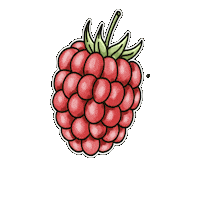 Fruit Hand Drawn Sticker