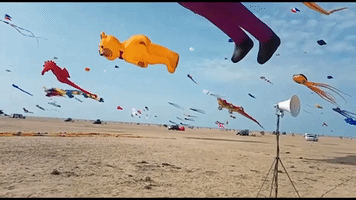 Kites Fill the Sky at Festival
