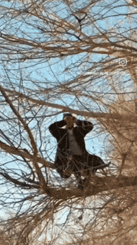 Muhammadali GIF