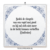 Nl Hoop GIF by Tegelspreuken.nl