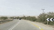 Israel GIF