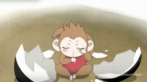 kamisama kiss monkey GIF by Funimation
