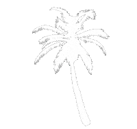 Summer Traveling Sticker by MeetRoatanHonduras