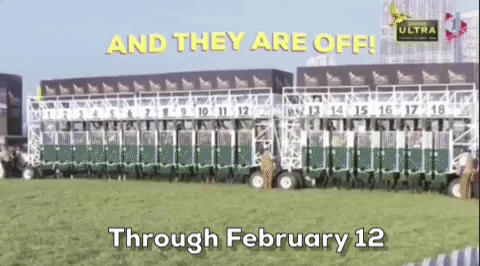 jbohringer giphygifgrabber GIF