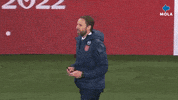 World Cup Reaction GIF by MolaTV