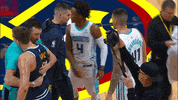 willy hernangomez hug GIF by NBA