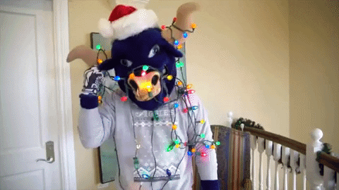 utahstate GIF by Utah State University