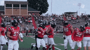 Happy Lets Go GIF by Gardner-Webb University