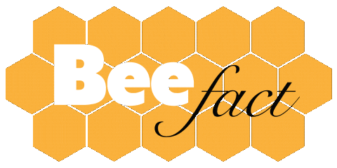 Bee Sticker
