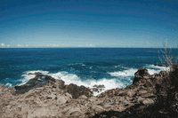Water Beach GIF by Andrea Michelle Photography