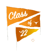 Graduation Graduate Sticker by College of Natural Sciences, UT Austin