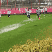 Football Sliding GIF by FC Bayern Munich
