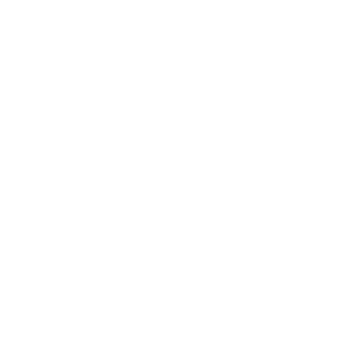 Freeride Sticker by CRFRDH