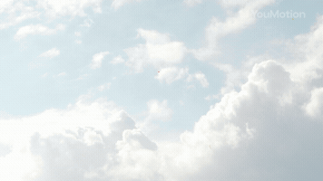 Title animated design series for content creators