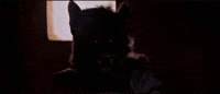 Cantina Anewhope GIF