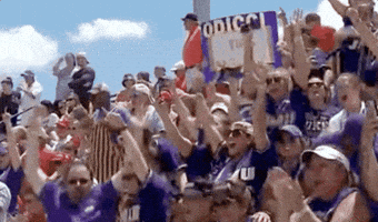 Fan Cheer GIF by JMUDukes