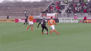 soccer mls GIF by D.C. United