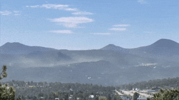 Clouds of Pine Pollen Blow Across Colorado