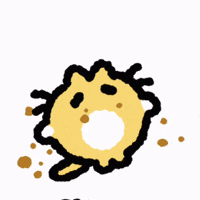 Cat Kitty GIF