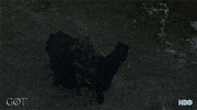 season 7 hbo GIF by Game of Thrones