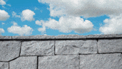 Digital art gif. A composite of Mark Zuckerberg's head peeking up behind a cinderblock wall, looking around, and then receding.