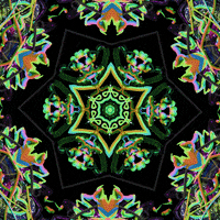 Beauty Rainbow GIF