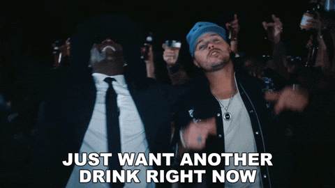 Drunk Country Music GIF by Josh Ross
