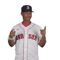 Red Sox Baseball Sticker by Boston Red Sox