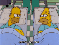 homer simpson GIF
