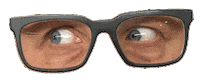 eyes read Sticker