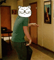 Dance Cat GIF by ShiroNeko