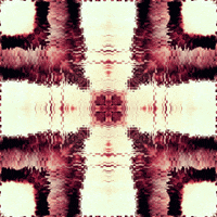 GIF by Leo Pyrata