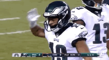 2018 nfl football GIF by NFL