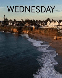 Beach Ocean GIF