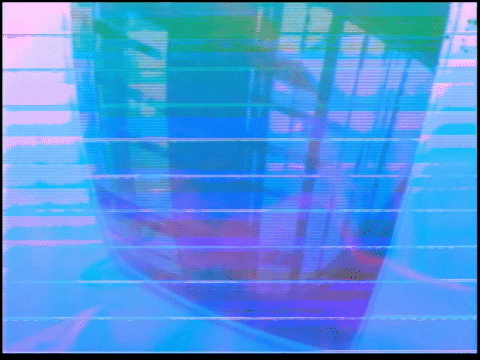 Video Art GIF by cskonopka