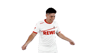 jorge mere soccer Sticker by 1. FC Köln