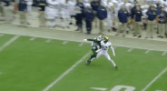 GIF by Michigan Athletics
